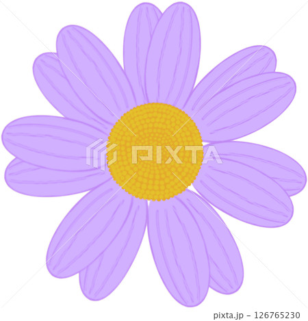 Beautiful shape and colors of purple blossom flower petals. Beautiful shape and colors of purple blossom flower petals. 126765230