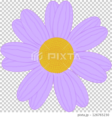 Beautiful shape and colors of purple blossom flower petals. Beautiful shape and colors of purple blossom flower petals. 126765230