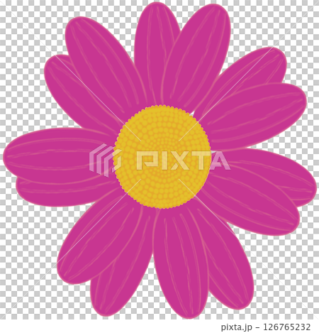 Beautiful shape and colors of purple blossom flower petals. Beautiful shape and colors of purple blossom flower petals. 126765232