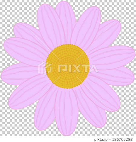Beautiful shape and colors of pink blossom flower petals. 126765282