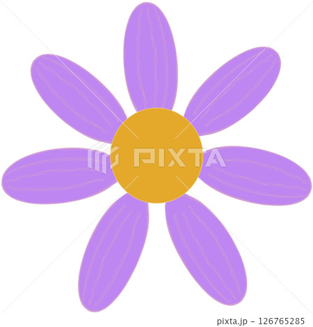Beautiful shape and colors of purple blossom flower petals. 126765285