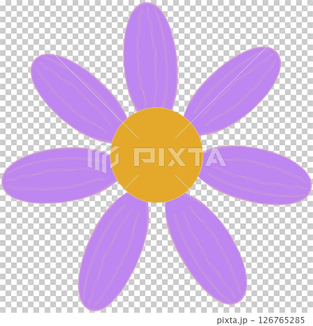 Beautiful shape and colors of purple blossom flower petals. 126765285