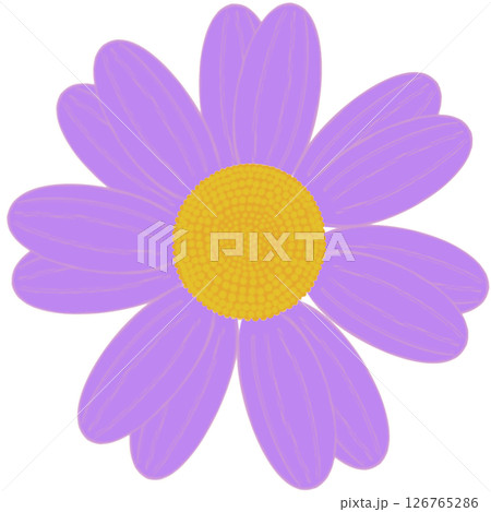 Beautiful shape and colors of purple blossom flower petals. 126765286