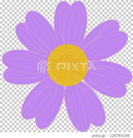 Beautiful shape and colors of purple blossom flower petals. Beautiful shape and colors of purple blossom flower petals. 126765286
