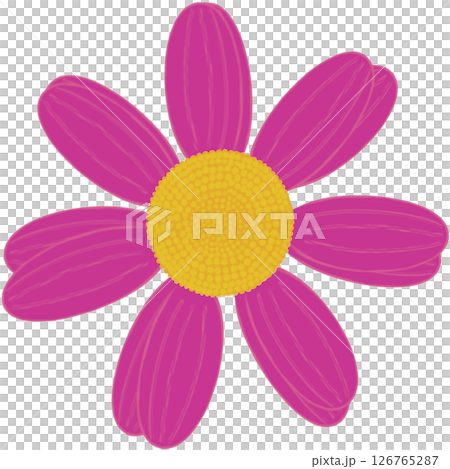 Beautiful shape and colors of purple blossom flower petals. 126765287