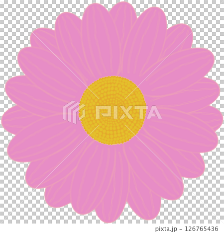 Beautiful shape and colors of pink blossom flower petals. Beautiful shape and colors of pink blossom flower petals. 126765436