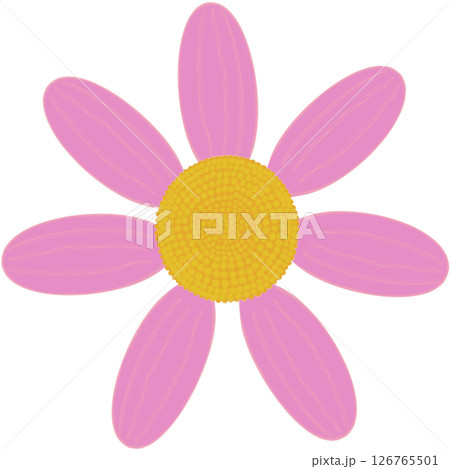 Beautiful shape and colors of pink blossom flower petals. 126765501