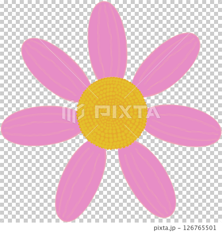 Beautiful shape and colors of pink blossom flower petals. 126765501