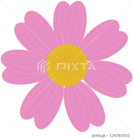 Beautiful shape and colors of pink blossom flower petals. 126765502