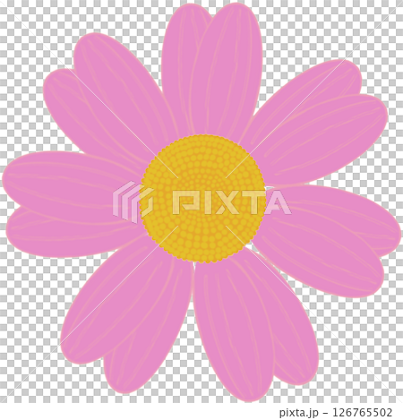 Beautiful shape and colors of pink blossom flower petals. 126765502