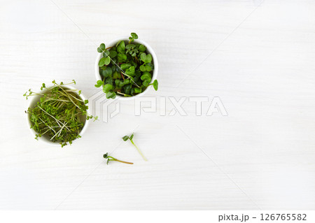 Sprouts microgreens. Vegan and healthy eating concept. Sprouts microgreens. Vegan and healthy eating concept. 126765582