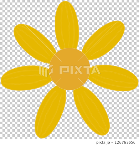 Beautiful shape and colors of blossom yellow daisy flower petals.. Beautiful shape and colors of blossom yellow daisy flower petals.. 126765656