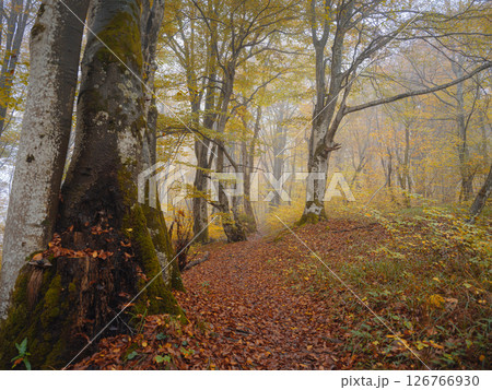 Plitvice Lakes in Croatia during autumn Plitvice Lakes in Croatia during autumn 126766930