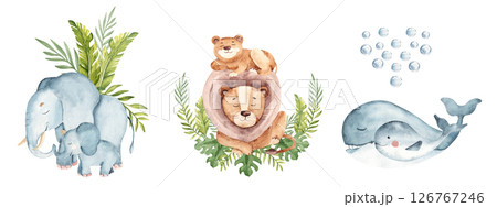 Set of Wild animals families with tropical leaves compositions. Cute elephant, lion and whale baby and adults. Watercolor hand drawn illustrations isolated on white background. For kid cards and Set of Wild animals families with tropical leaves compositions. Cute elephant, lion and whale baby and adults. Watercolor hand drawn illustrations isolated on white background. For kid cards and 126767246