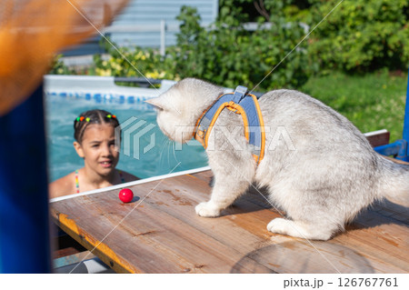 Young caucasian girl in pool observed by cat on deck near red ball Young caucasian girl in pool observed by cat on deck near red ball 126767761