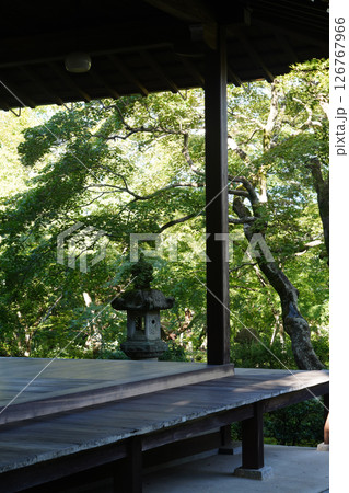 緑豊かな常寂光寺の境内 126767966