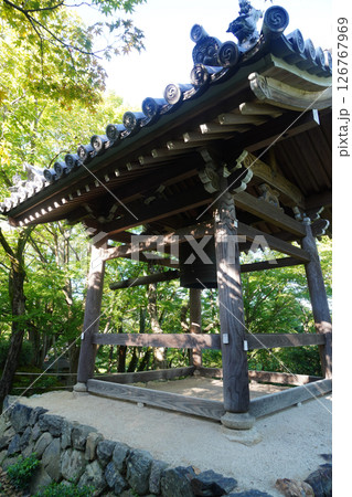 緑豊かな常寂光寺の境内 緑豊かな常寂光寺の境内 126767969