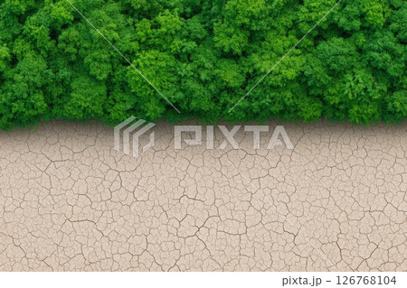 Deforestation and Climate Change Concept with Forest and Cracked Earth 126768104