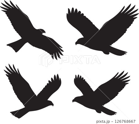 飛ぶ鳥のシルエット 飛ぶ鳥のシルエット 126768667