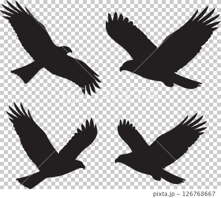 飛ぶ鳥のシルエット 飛ぶ鳥のシルエット 126768667