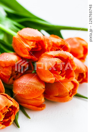 Vibrant orange tulips with dewdrops, fresh spring bloom 126768748