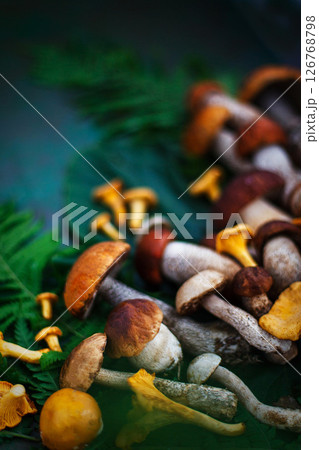 Fresh uncooked wild mushrooms on rustic green background, top view Fresh uncooked wild mushrooms on rustic green background, top view 126768798