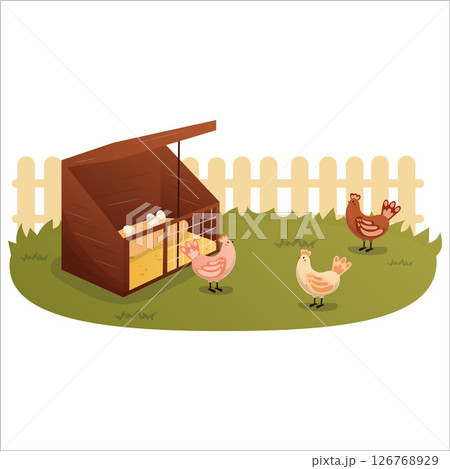 Vector illustration of a home chicken coop in the backyard 126768929