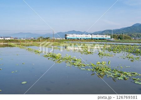 【高徳線】平日早朝に徳島駅へ向かう普通列車 126769381