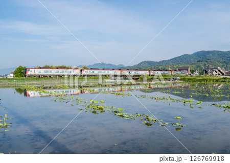 【高徳線】平日早朝に高松駅へ向かう特急列車 【高徳線】平日早朝に高松駅へ向かう特急列車 126769918