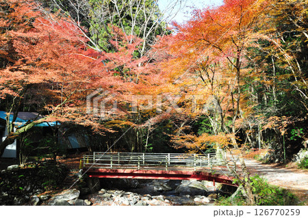 くらがり渓谷の紅葉 126770259