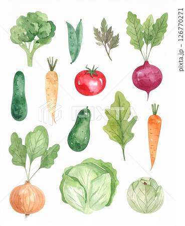いろんな野菜 126770271