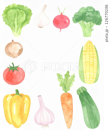 いろんな野菜 126770286