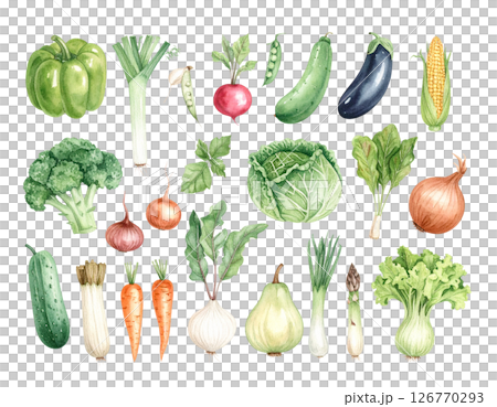 背景透過いろんな野菜 126770293