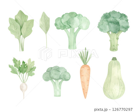 背景透過いろんな野菜 126770297