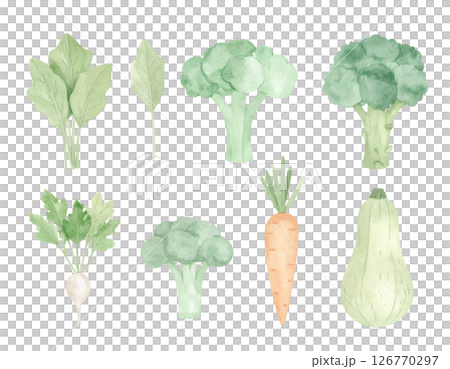 背景透過いろんな野菜 126770297