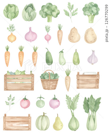 背景透過いろんな野菜 126770299