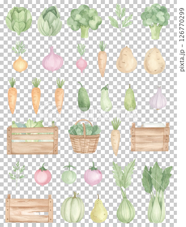 背景透過いろんな野菜 126770299
