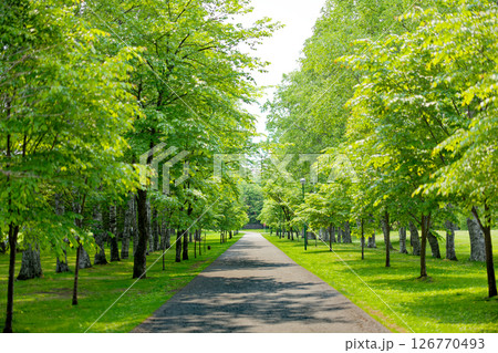 帯広市の緑が丘公園 126770493