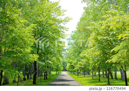 帯広市の緑が丘公園 126770494