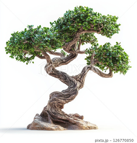 Sturdy Tree with Deeply Textured Bark and Lush Green Foliage 126770850