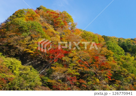 秩父の山の紅葉 秩父の山の紅葉 126770941