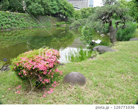 日比谷公園の庭園 126771036