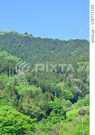 新緑の里山の風景　花桃の里　東秩父村 126771185