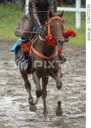相馬野馬追 飾り付けられた馬 福島県南相馬市 相馬野馬追 飾り付けられた馬 福島県南相馬市 126771238