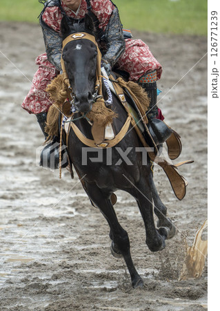 相馬野馬追 飾り付けられた馬 福島県南相馬市 相馬野馬追 飾り付けられた馬 福島県南相馬市 126771239