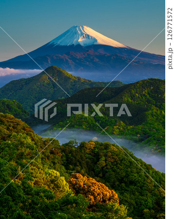 西伊豆の山中から望む新緑の山並みと富士山 126771572