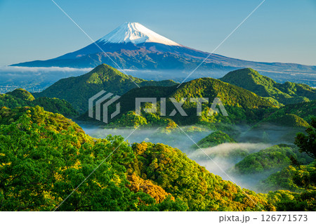 霧が漂う新緑の山並みと富士山 126771573