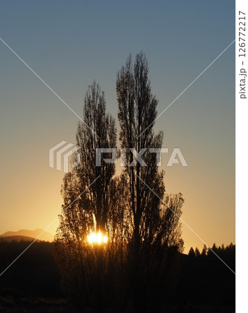 ニュージーランド旅行、日の出 126772217