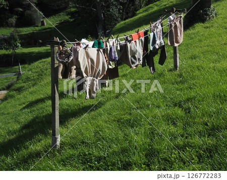 ニュージーランド旅行、指輪物語のホビット村 ニュージーランド旅行、指輪物語のホビット村 126772283