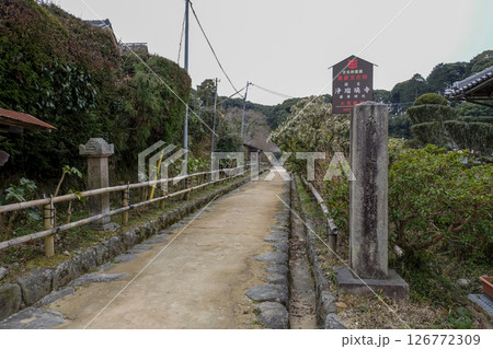 国宝九体阿弥陀像がある【浄瑠璃寺】に向かう参道　（京都府木津川市加茂町） 126772309
